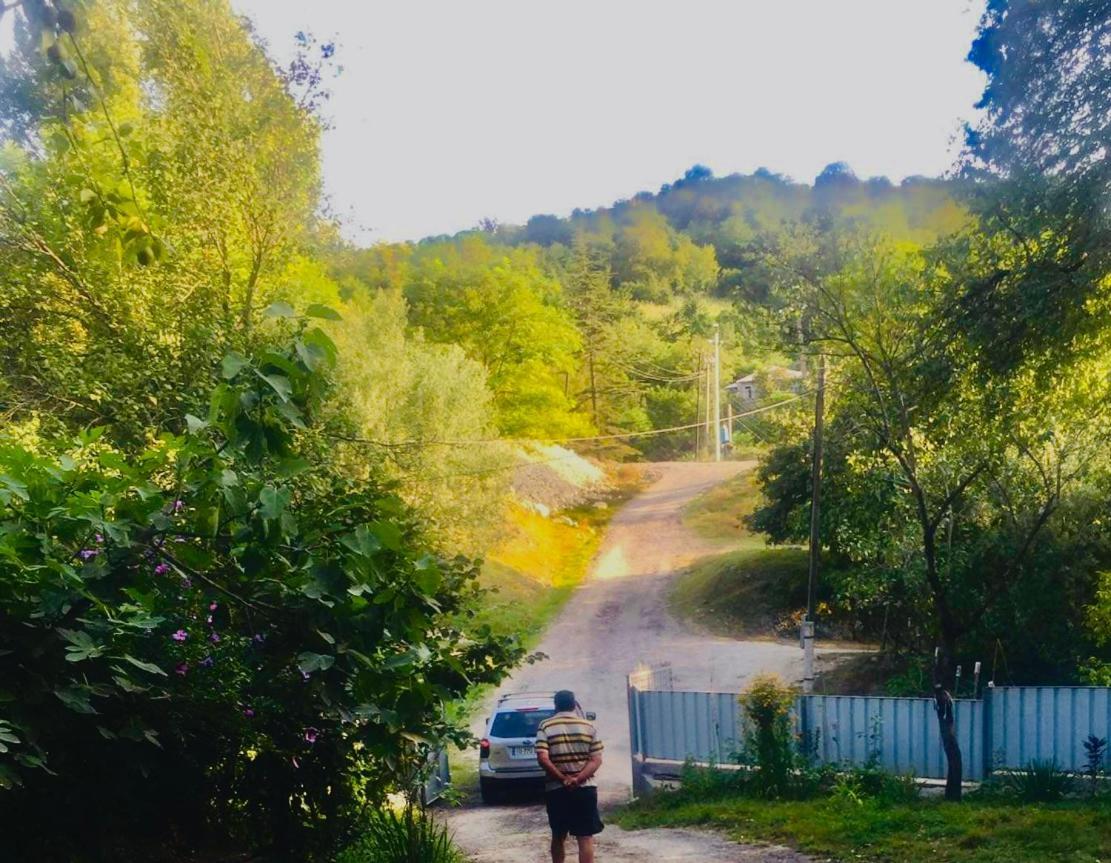 Butichi Guest House Chiatura Bagian luar foto