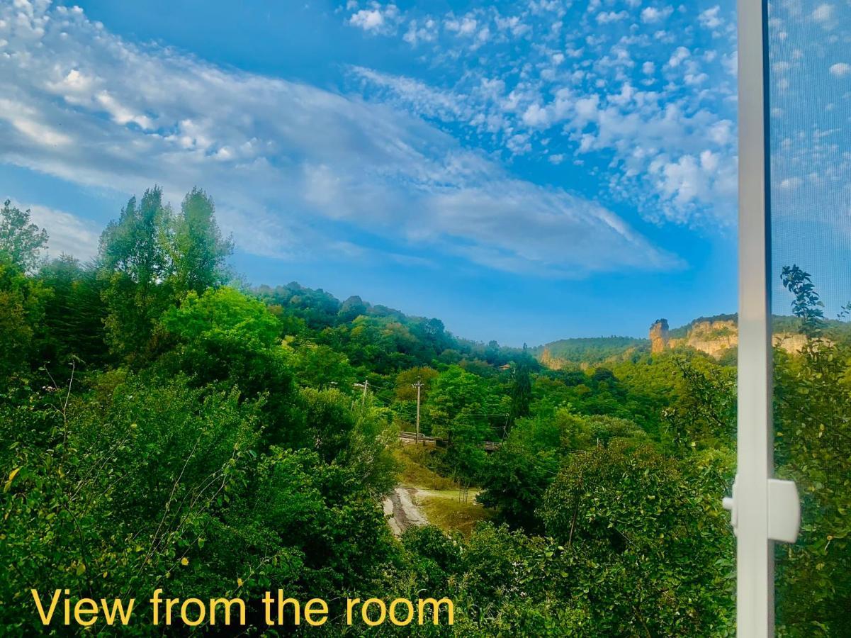 Butichi Guest House Chiatura Bagian luar foto